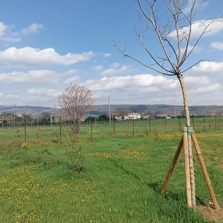 Agricampeggio Oro Verde *