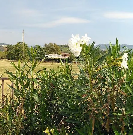 Agricampeggio Oro Verde * Verona