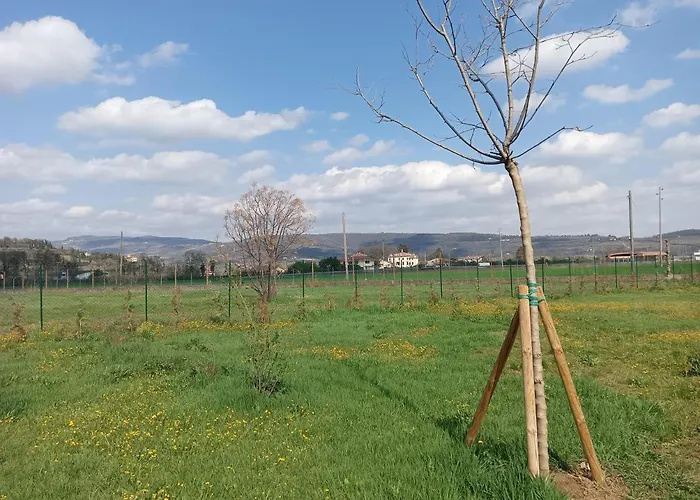 Agricampeggio Oro *