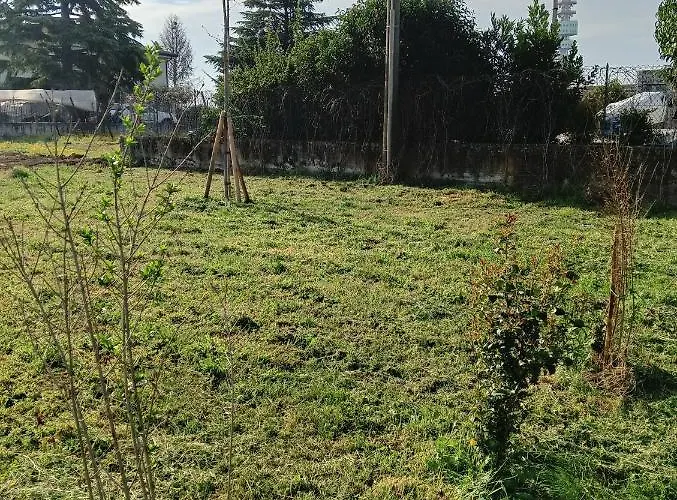 Agricampeggio Oro