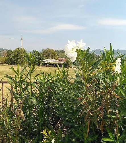 Agricampeggio Oro * Βερόνα